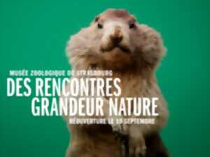 photo Week-end festif de réouverture