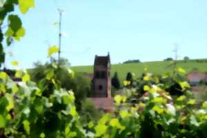 photo Journées Européennes du Patrimoine : visite de Scharrachbergheim
