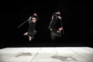 photo Spectacle : Go - Corps in situ