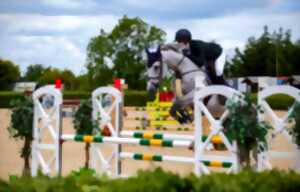 photo Concours de saut d'obstacles