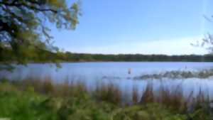 photo Sortie nature : Découverte de la Réserve Naturelle régionale de l'Etang de Ramerupt
