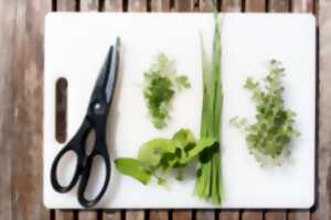 photo Cuisine des plantes sauvages