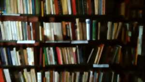 photo Découvre le métier de bibliothécaire