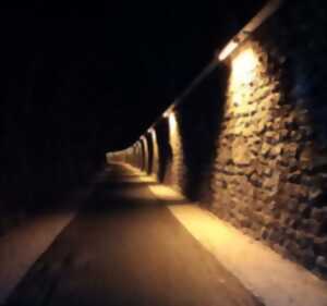 photo Visite au coeur de la nuit