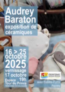 photo Exposition de céramiques à Frontenay-Rohan-Rohan