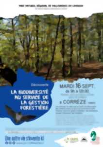 photo La biodiversité au service de la gestion forestière