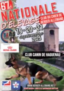 photo Championnat de France de beauté du chien de Berger allemand