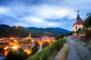 photo Vignobles en Scène Alsace : Art et Vin, des impressions aux couleurs