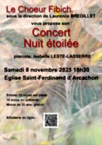 photo Concert Nuit Etoilé