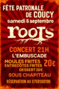 photo Concert rock : les Roots
