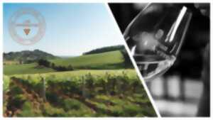 photo [Vignobles en scène]: Voyage au coeur des sens...