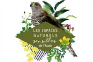 photo ENS - DES INSECTES ET DES FLEURS