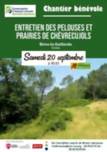 photo Entretien des pelouses et prairies de Chèvrecujols