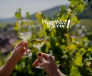 photo Vignobles en Scène Alsace: Dégustation découverte