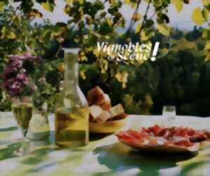 photo Vignobles en Scène Alsace: Vélo, pique nique et vins