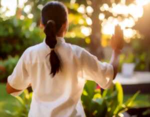 photo Cours de Qi Gong