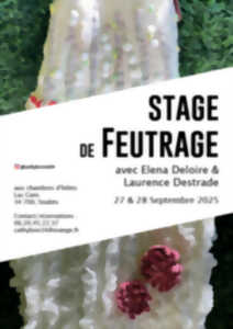 photo STAGE DE FEUTRAGE