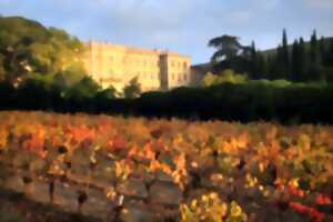 photo LE GRAND DÎNER DES VIGNOBLES DANS LE PETIT VERSAILLES DU LANGUEDOC