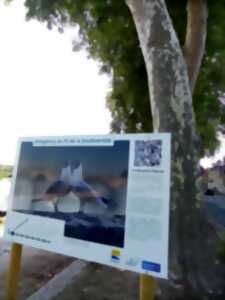 photo Exposition en automomie : Beaugency au fil de la biodiversité