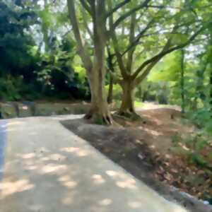photo Balade commentée du bois de Contresta