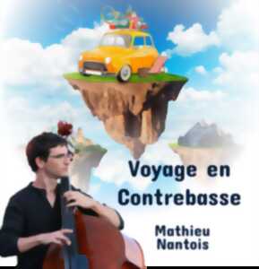 photo Voyage en Contrebasse, spectacle de Mathieu Nantois
