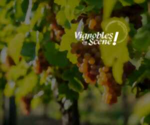 photo Vignobles en Scène Alsace: Accords mets & vins (chocolat ou fromages)