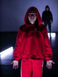 photo Le petit chaperon rouge - Cie Sylvain Huc