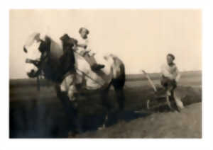 photo Exposition : L’Homme et le cheval de trait … une histoire intime