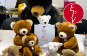 photo Secrets de Fabrique : Les Petites Maries, une visite au royaume des peluches