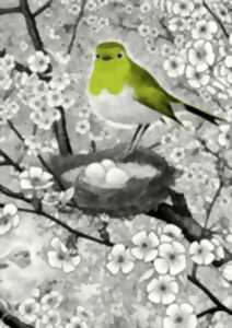 photo Exposition : Cherche et trouve les animaux dans le jardin