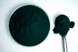 photo Fête de la spiruline