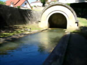 photo Visite insolite de Scey-sur-Saône par les chemins de traverse
