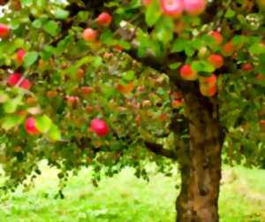 photo Secrets et savoir-faire de la Ferme du Léché
