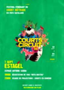 photo 6ÈME EDITION COURTS CIRCUITS 66 COURTS METRAGES