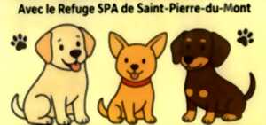 photo Cani-Marche Solidaire