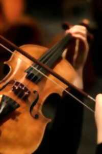photo 1 heure, 1 instrument : le violon