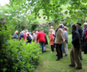 photo Journées Européennes du Patrimoine : Visites libres du jardin des Vitailles