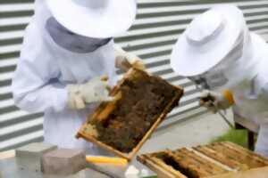 photo Découverte de l'apiculture