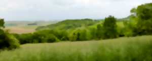 photo Sortie à vélo avec Alsace Nature