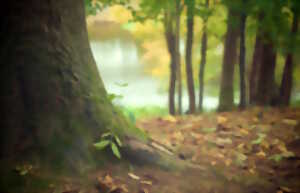 photo Théâtre l'homme qui plantais des arbres