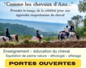 photo Comme les chevaux d'Ans - portes ouvertes