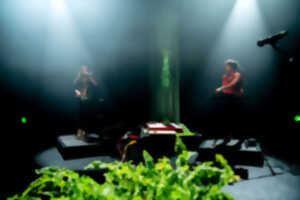 photo Concert - Forêts