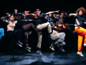 photo Festival Créactions - Spectacle - Rave Lucid