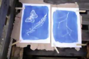 photo Journée du patrimoine : Initiation à la cyanographie