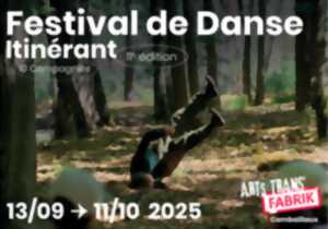 photo FESTIVAL ARTSTRANSFABRIK#11 : DONKEY, ANAT BOSAK - CIE LAB-L