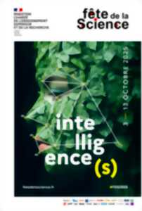 photo FÊTE DE LA SICENCE - ATELIER - L'INTELLIGENCE COLLECTIVE