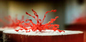 photo Installation artistique et plastique de Marie-France Hurbault