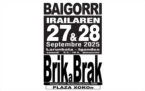 photo Brik a Brak