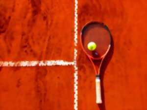 photo Tournoi multichance de tennis balles roses