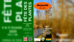 photo Fête des Plantes de Barjouville